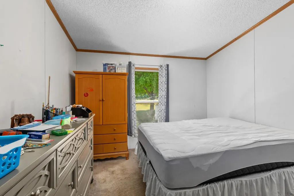 3839 Belding Road Orleans Township MI 48809
