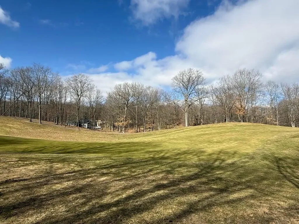 9689 Saint Ives Drive Morton Township MI 49346