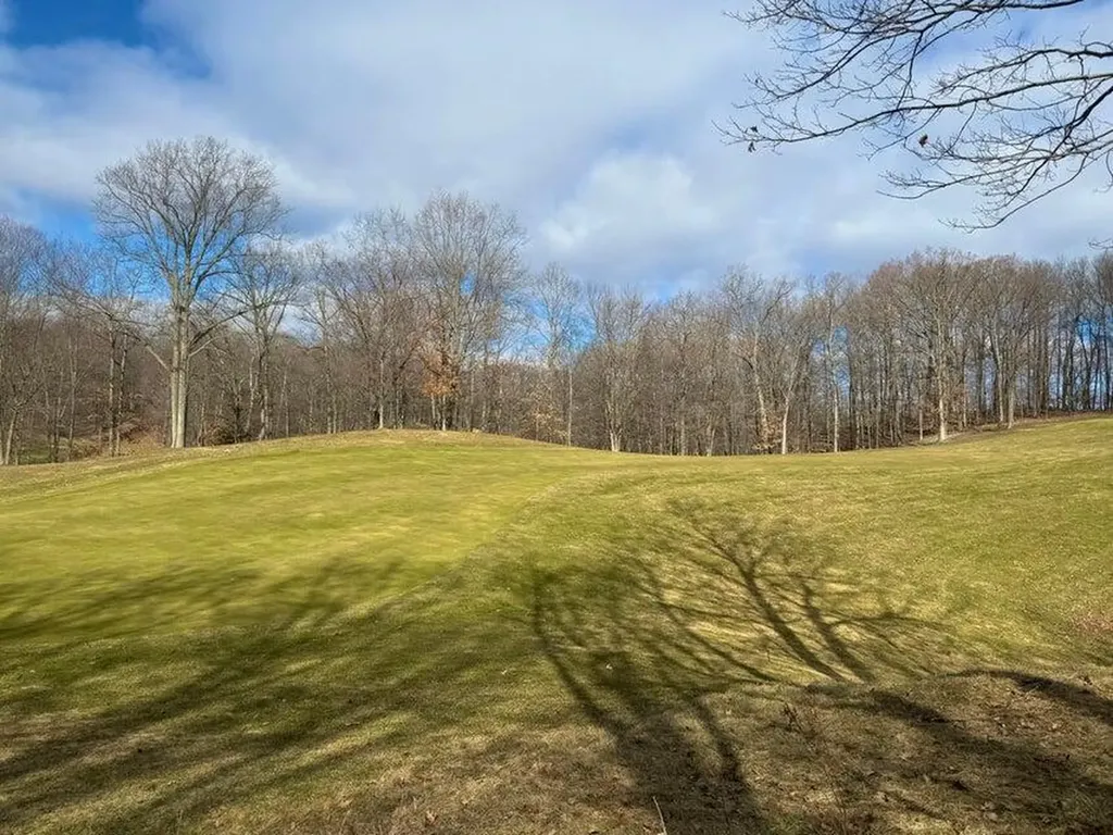 9689 Saint Ives Drive Morton Township MI 49346