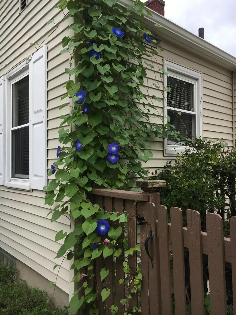 246 Alten Avenue NE Grand Rapids City MI 49503