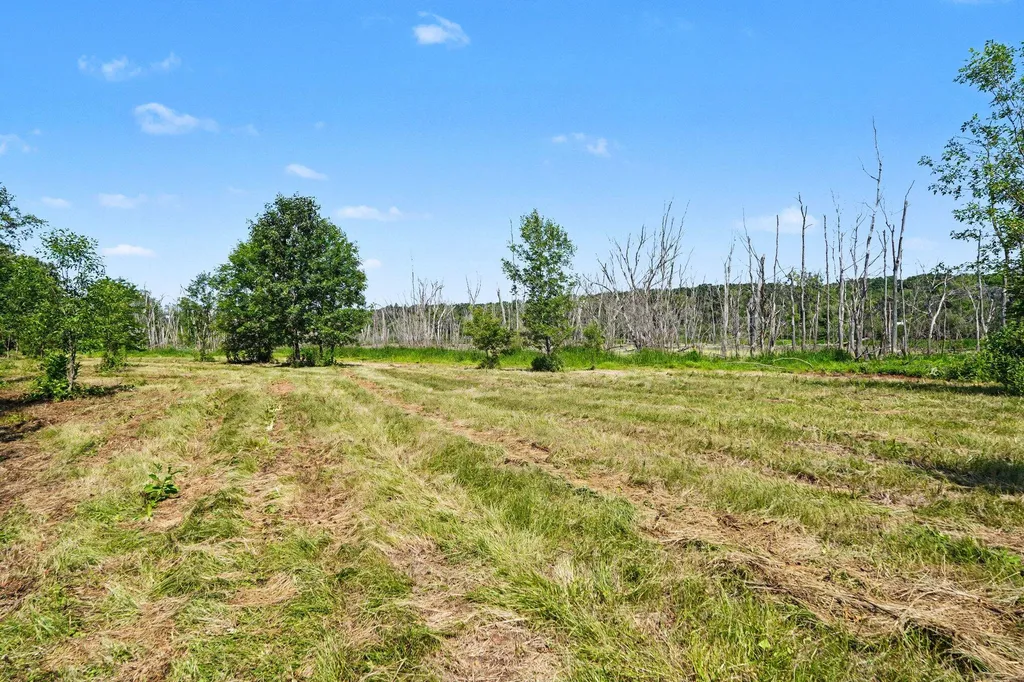 11645 W Bluewater Highway Boston Township MI 49331