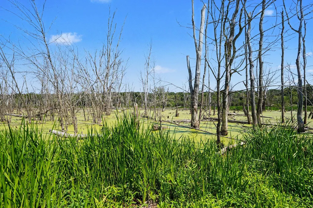 11645 W Bluewater Highway Boston Township MI 49331