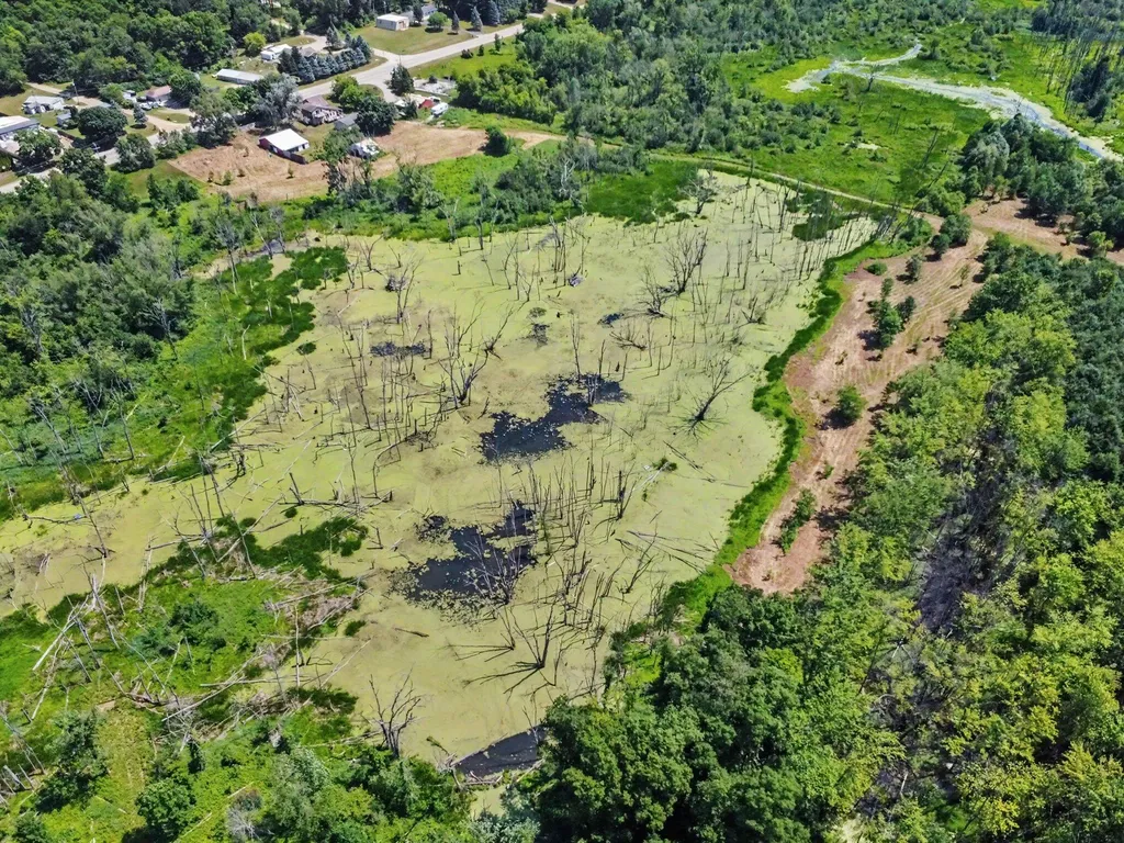 11645 W Bluewater Highway Boston Township MI 49331