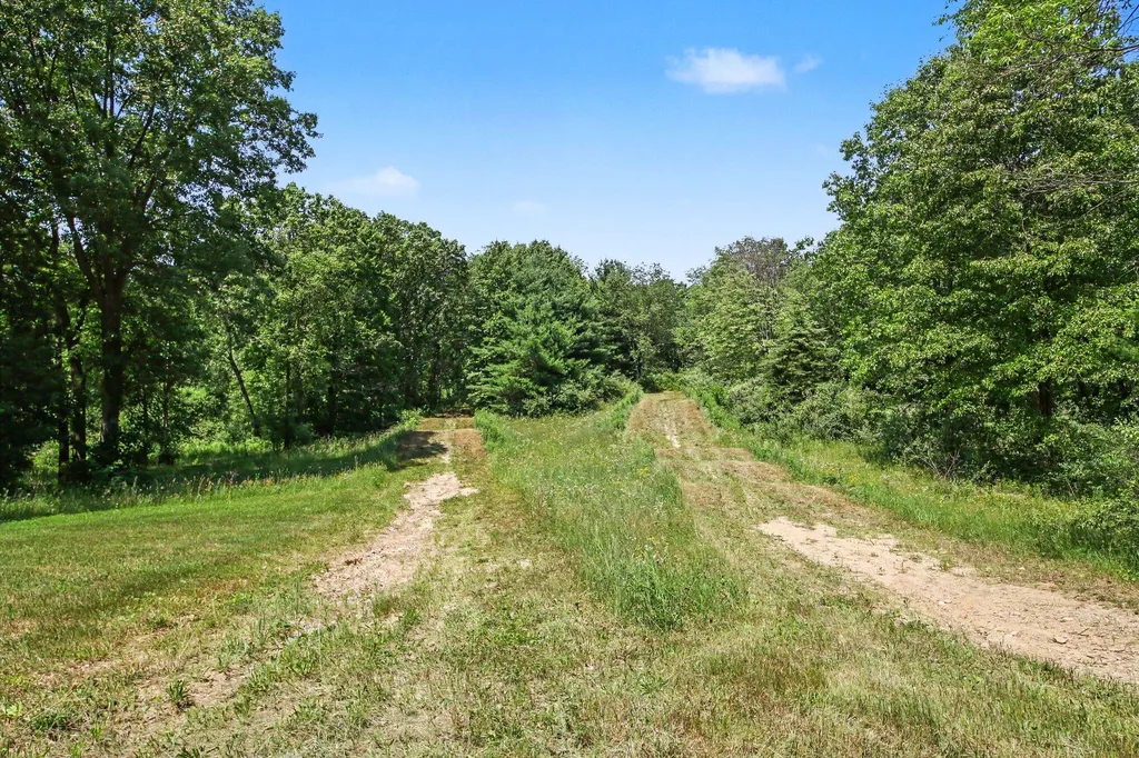 13625 Stacey Road NE Oakfield Township MI 48838