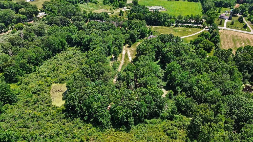13625 Stacey Road NE Oakfield Township MI 48838