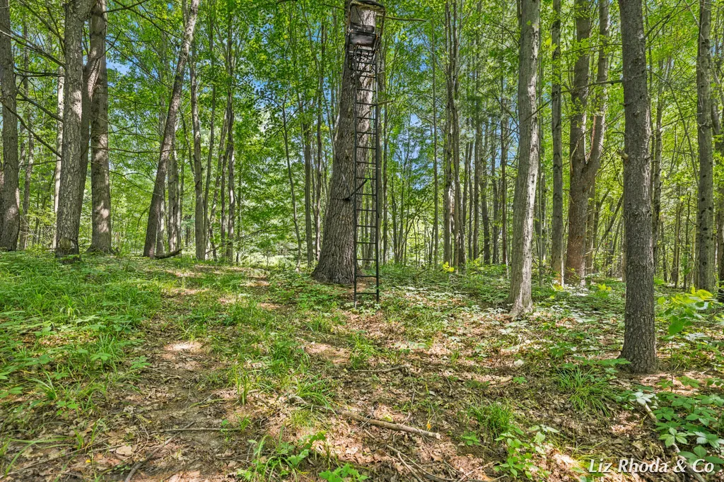 10240 Connelley Avenue NE Oakfield Township MI 48838
