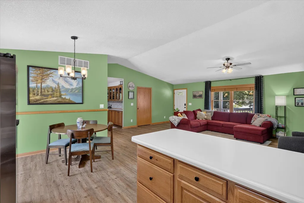 117 Charlotte Street Edmore Village MI 48829