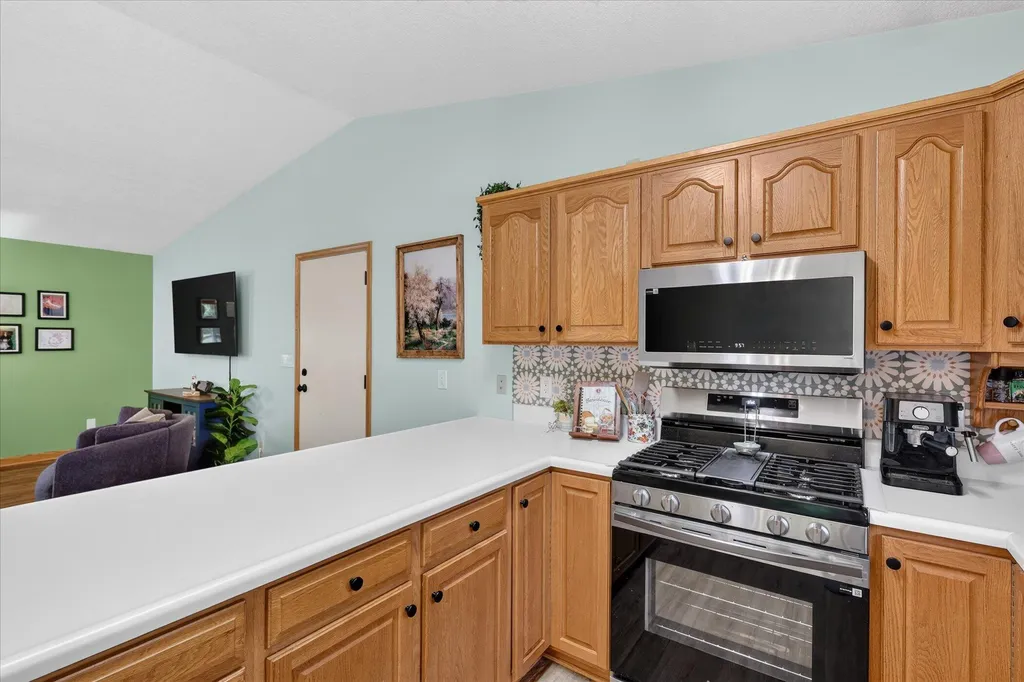 117 Charlotte Street Edmore Village MI 48829