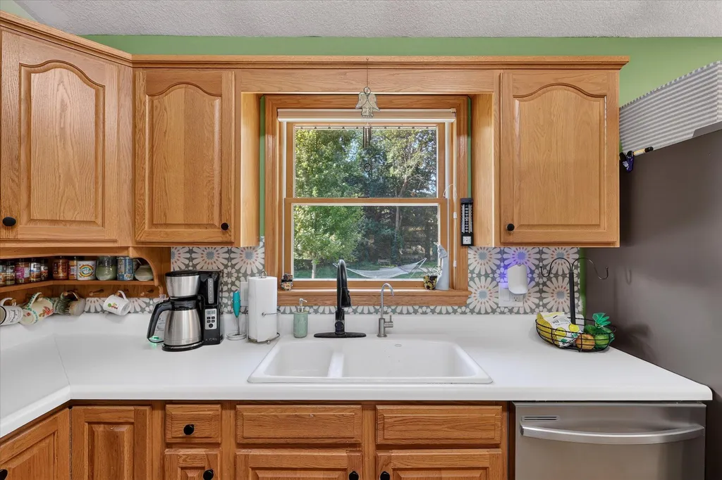 117 Charlotte Street Edmore Village MI 48829