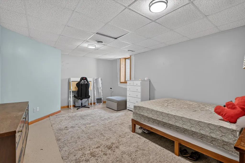 117 Charlotte Street Edmore Village MI 48829