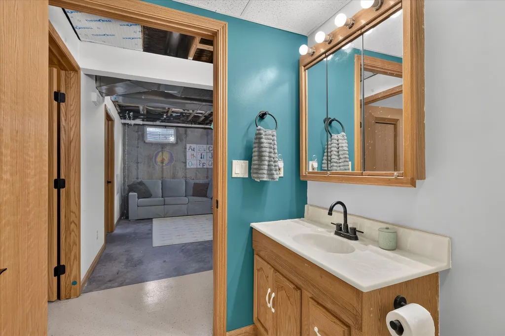 117 Charlotte Street Edmore Village MI 48829