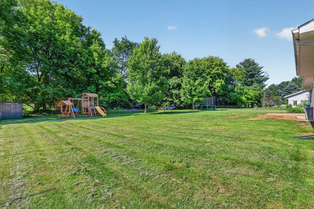 117 Charlotte Street Edmore Village MI 48829