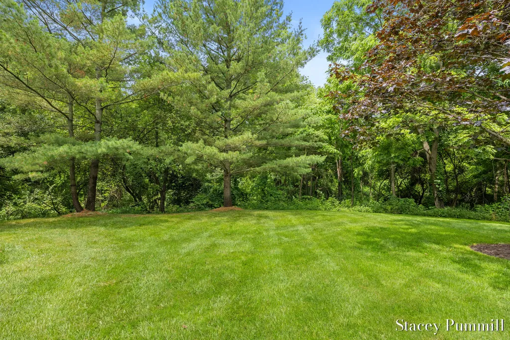 9171 Conservancy Drive NE Ada Township MI 49301
