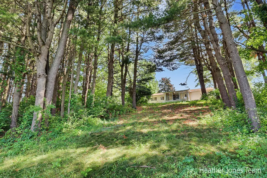 2350 Belding Road Orleans Township MI 48865