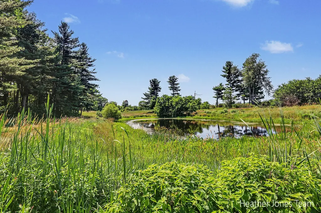 2350 Belding Road Orleans Township MI 48865