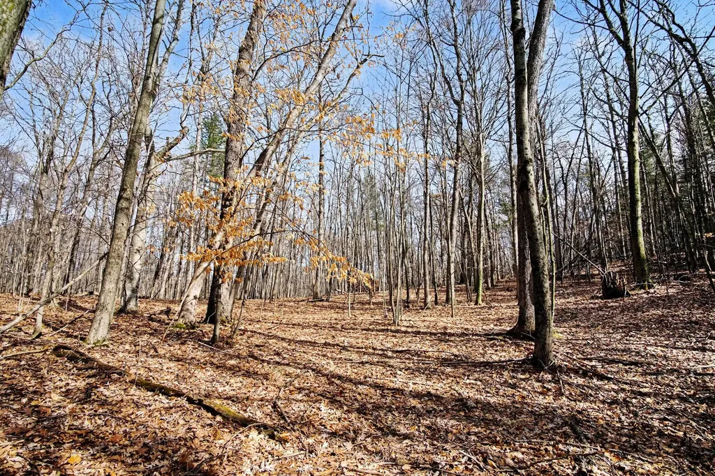 9370 S Hannah Lane Brooks Township MI 49327