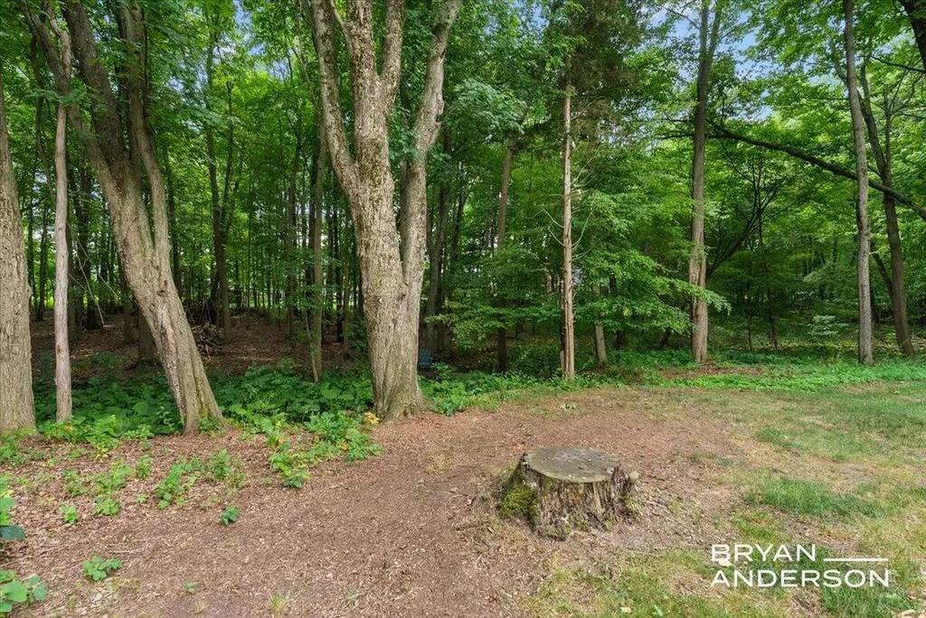 3324 Whitburn Court SE Cascade Charter Township MI 49301
