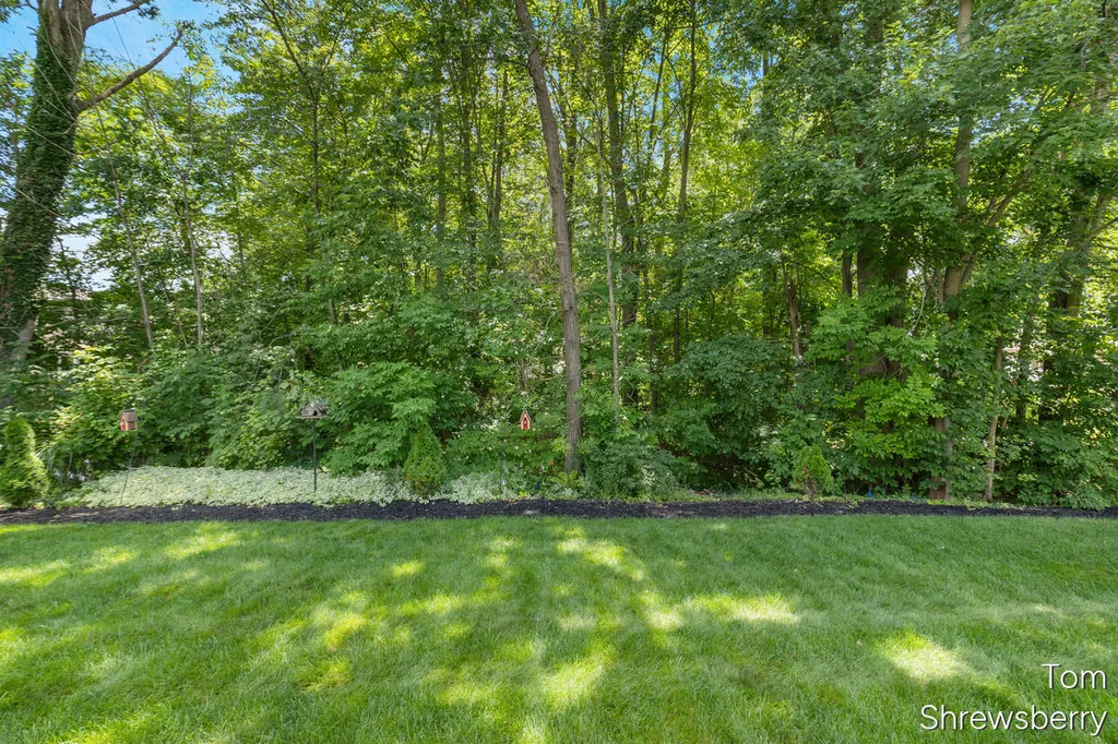 6494 Los Altos Drive NE Cannon Township MI 49341
