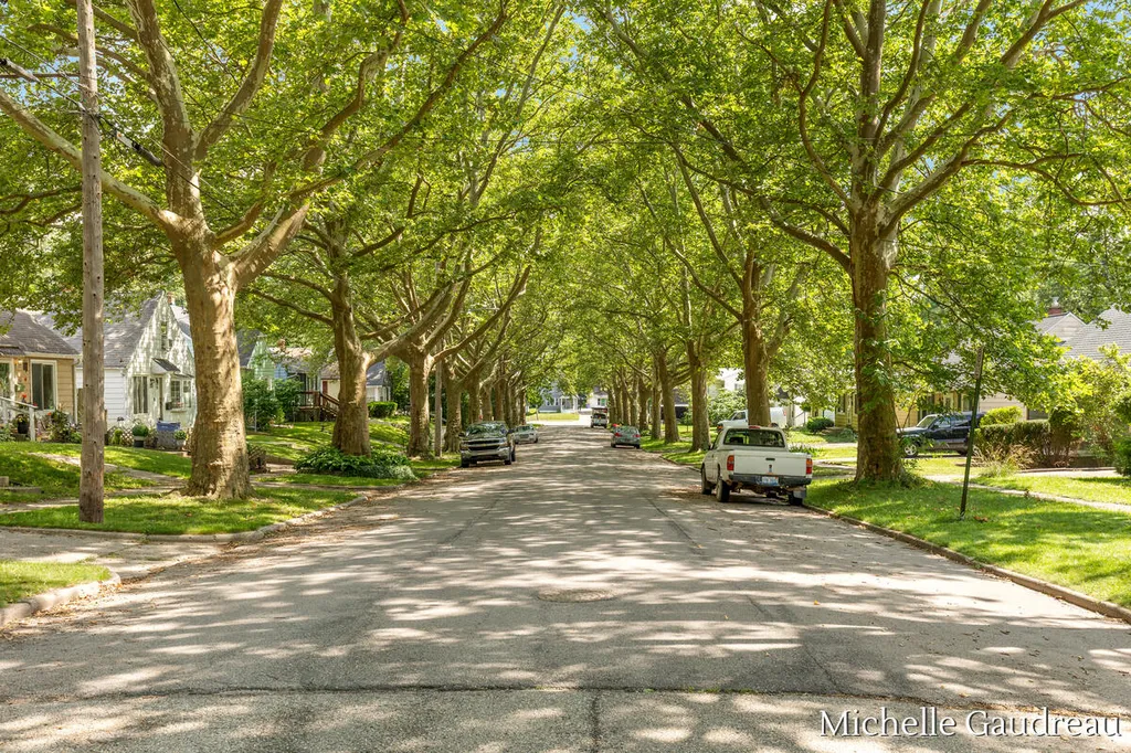 1318 Portland Avenue NE Grand Rapids City MI 49505