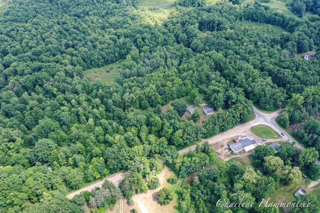 8430 Nugent Avenue NE Oakfield Township MI 49341