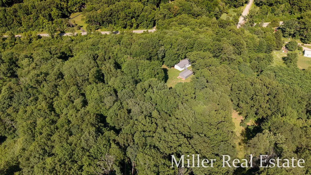 12780 North Avenue Assyria Township MI 49021