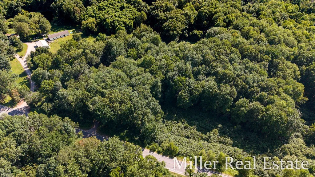 12780 North Avenue Assyria Township MI 49021
