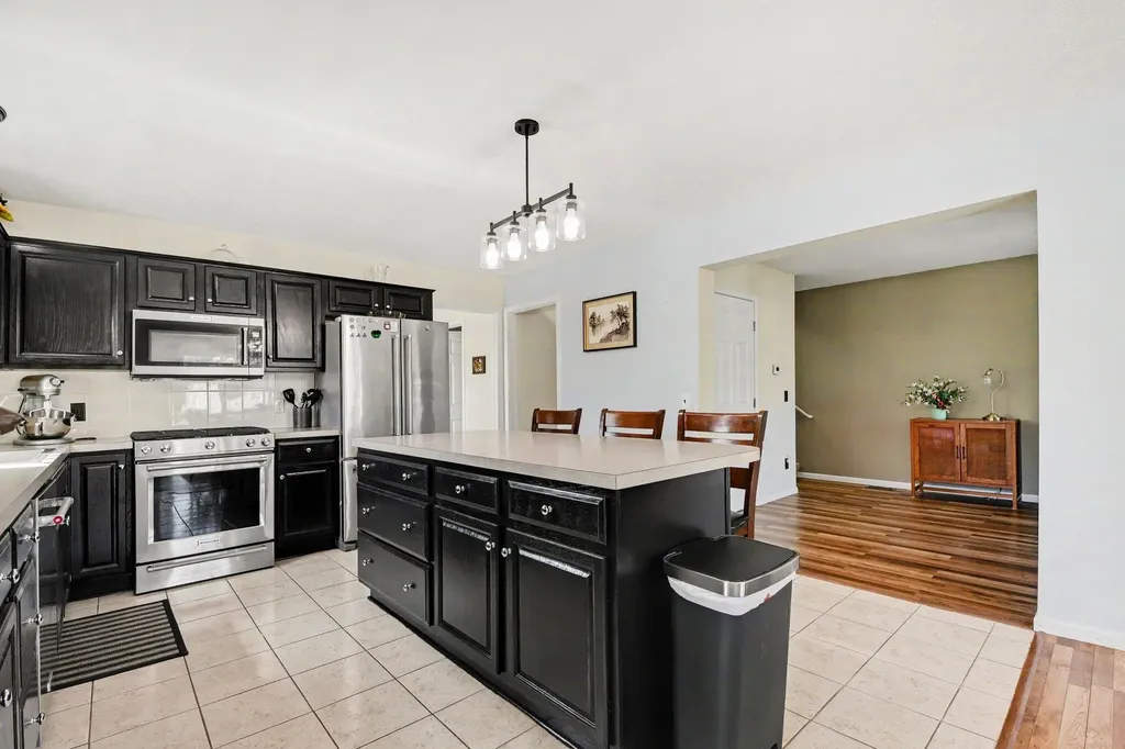 132 Foxtail Drive Ionia City MI 48846