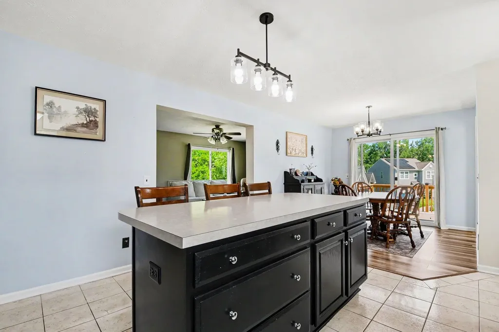 132 Foxtail Drive Ionia City MI 48846