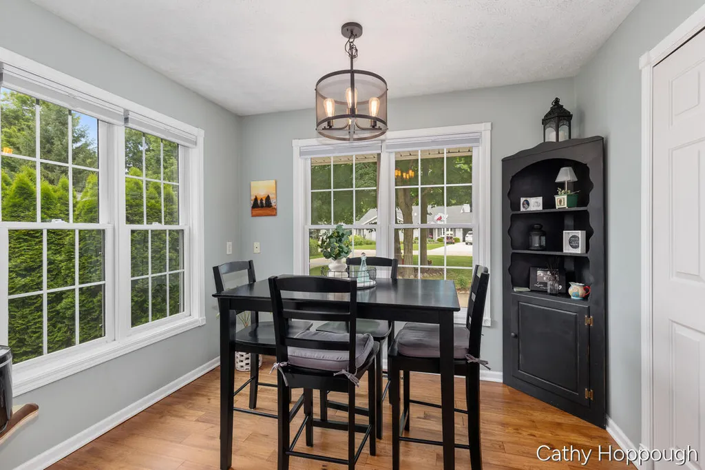 6733 Beechwood Drive Boston Township MI 48881