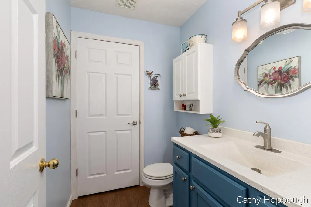 6733 Beechwood Drive Boston Township MI 48881