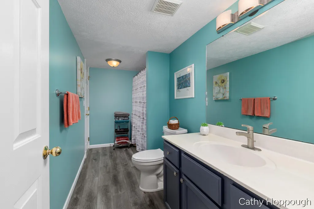 6733 Beechwood Drive Boston Township MI 48881
