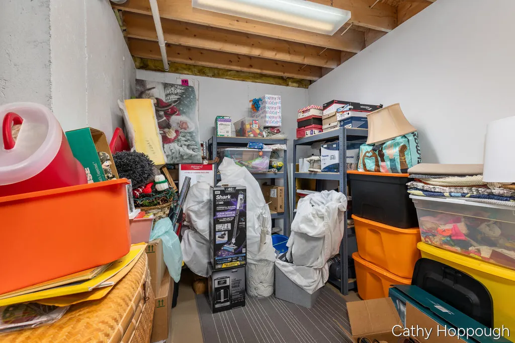 6733 Beechwood Drive Boston Township MI 48881