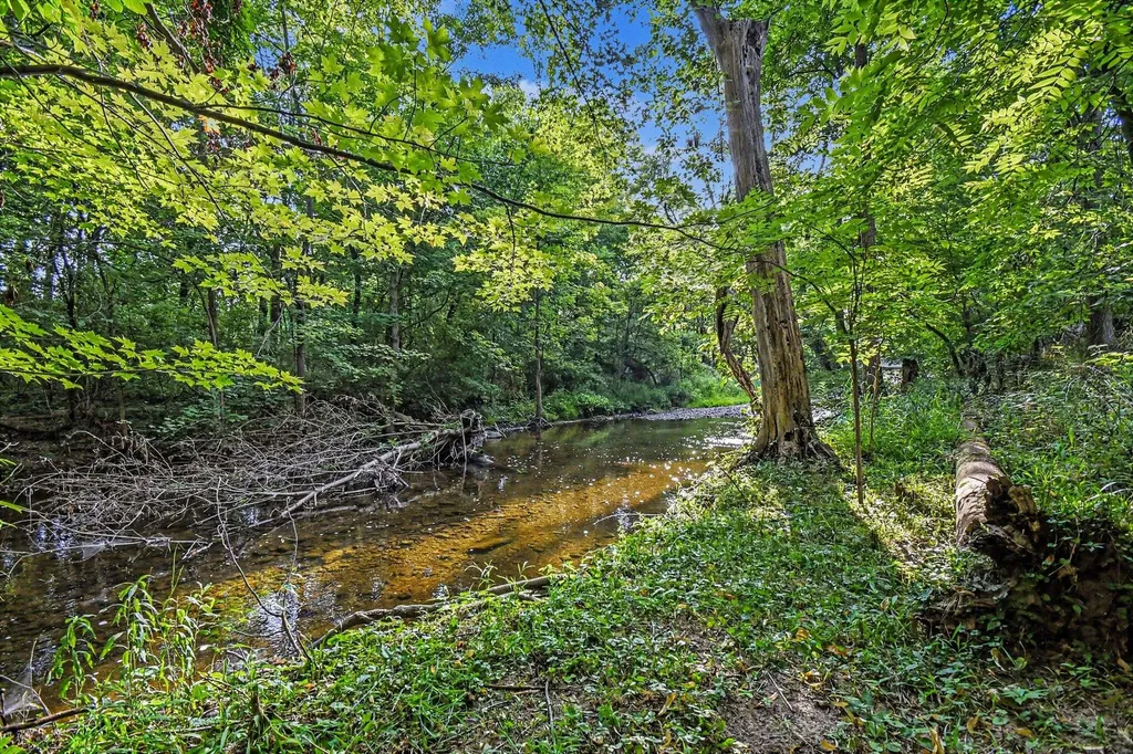 10725 Freeport Avenue Bowne Township MI 49325