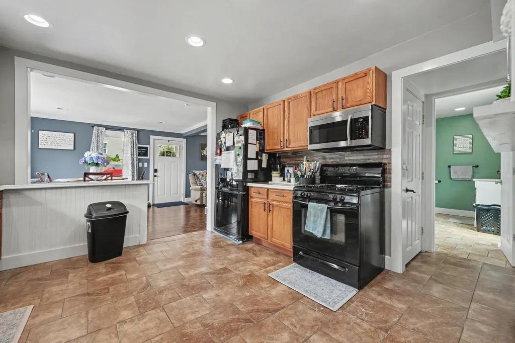 223 Leonard Street Belding City MI 48809