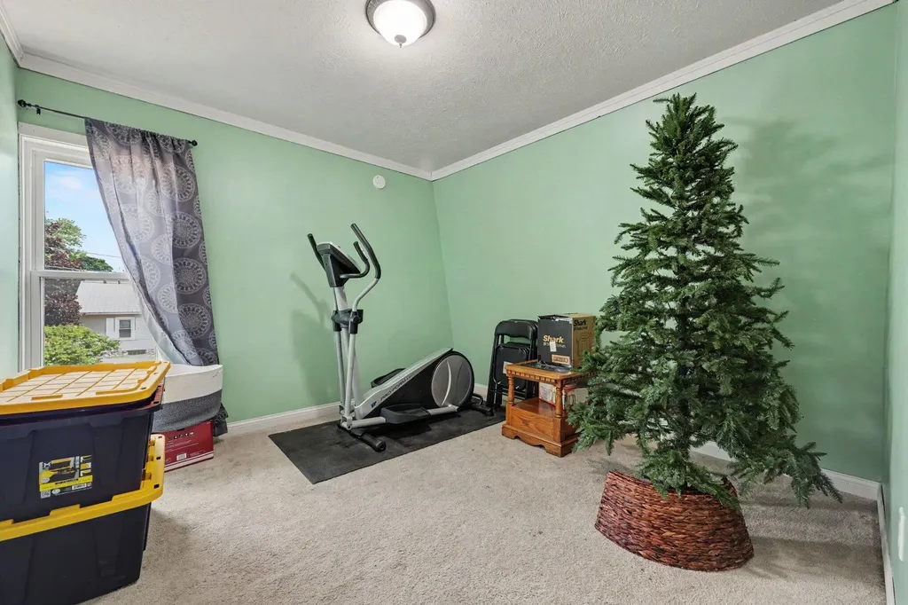 223 Leonard Street Belding City MI 48809