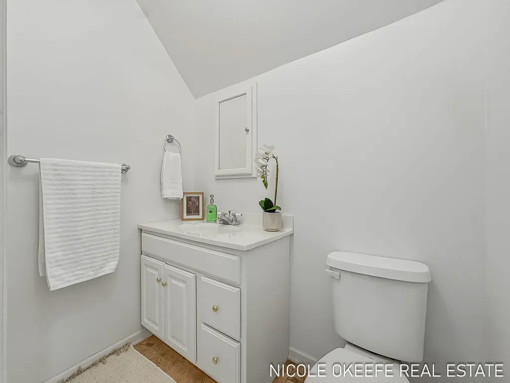 17430 Apache Trail Winfield Township MI 49329