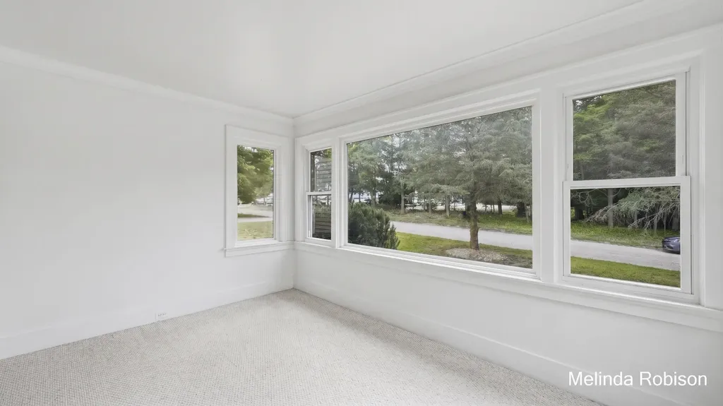 550 Merrick Street Belding City MI 48809