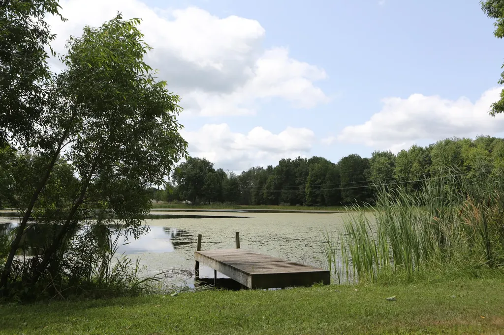 10667 Getty Drive Cato Township MI 48850