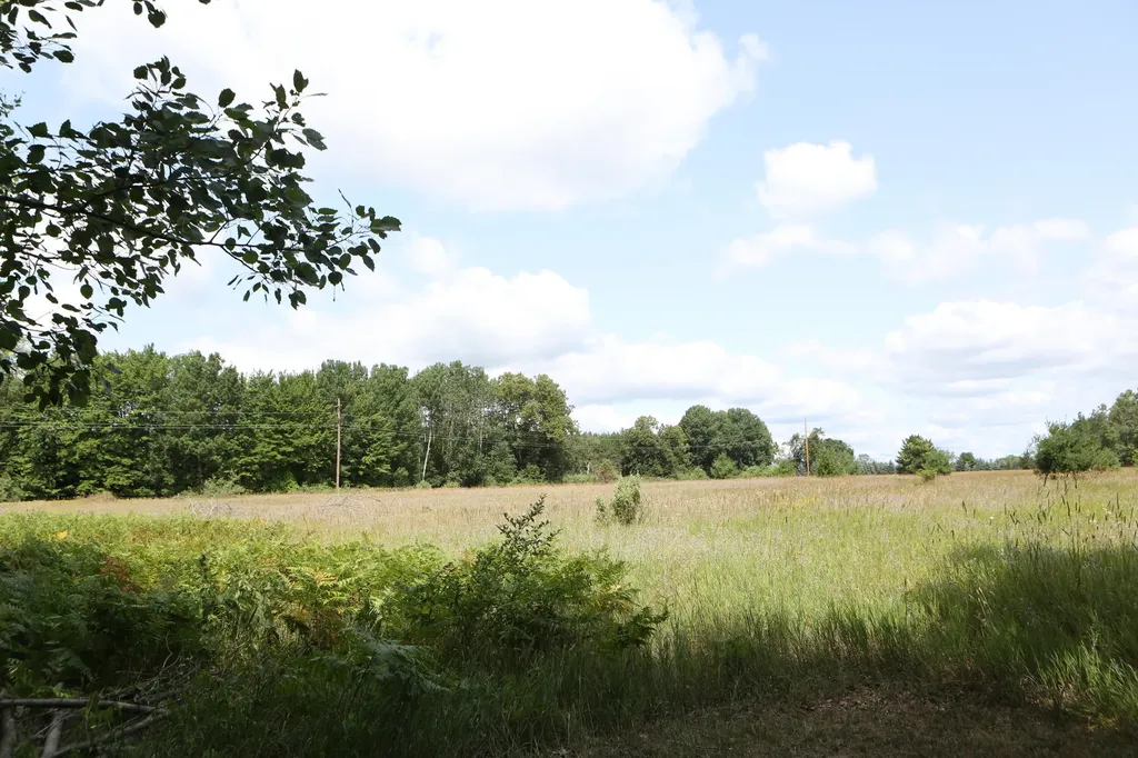 10667 Getty Drive Cato Township MI 48850