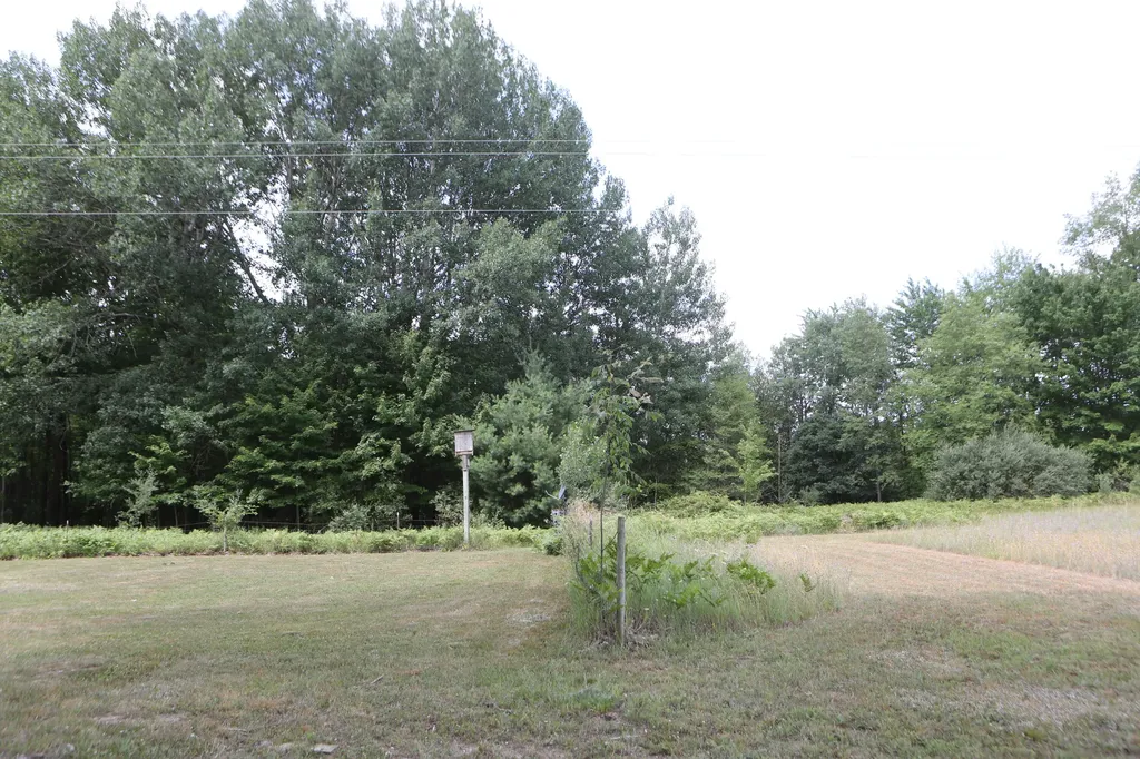 10667 Getty Drive Cato Township MI 48850