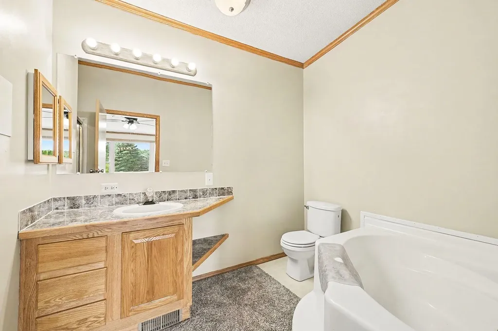 13404 Cherry Street Odessa Township MI 48849