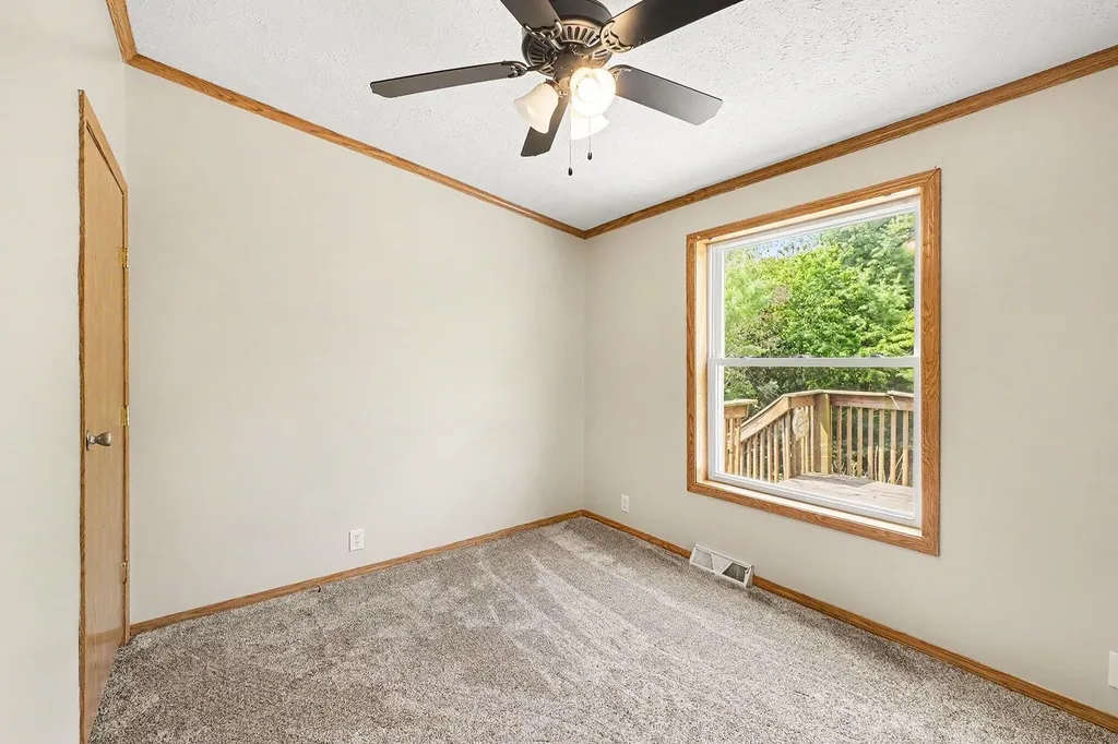 13404 Cherry Street Odessa Township MI 48849