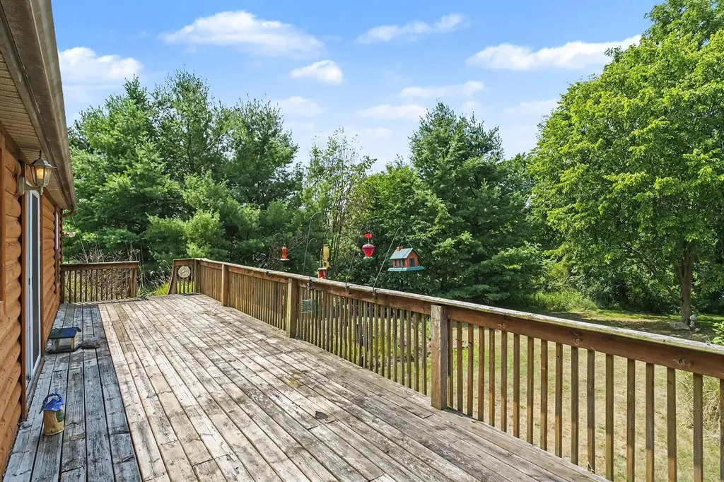 13404 Cherry Street Odessa Township MI 48849