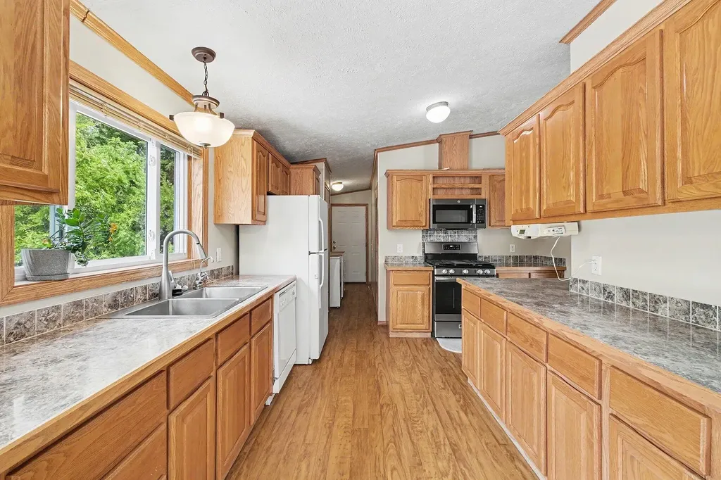13404 Cherry Street Odessa Township MI 48849
