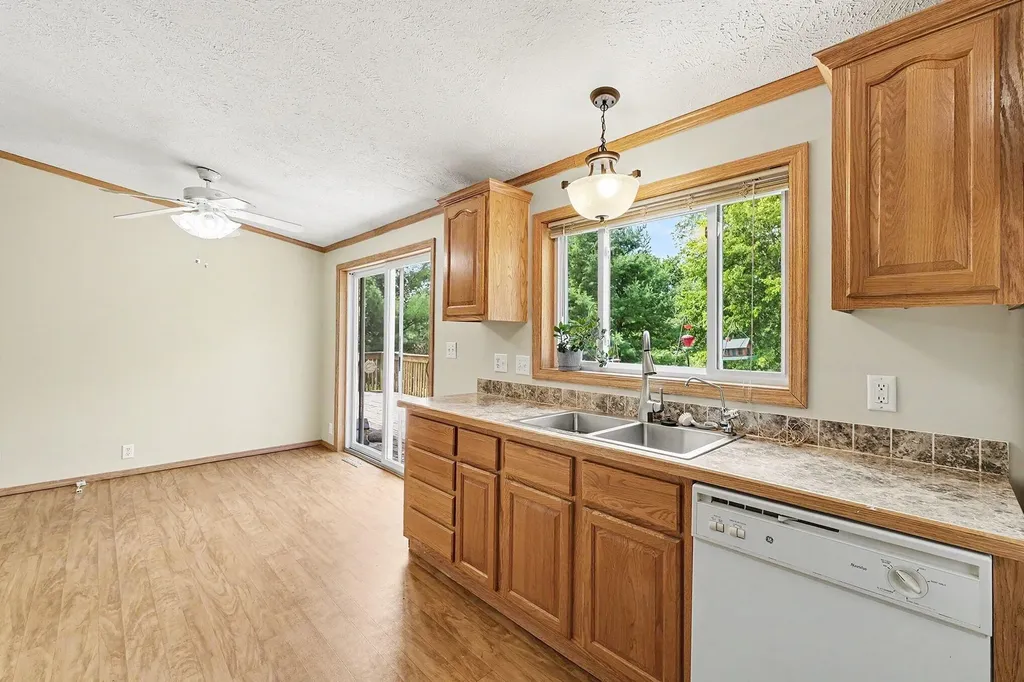 13404 Cherry Street Odessa Township MI 48849