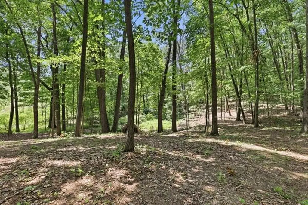 1450 N Payne Lake Road Yankee Springs Township MI 49333