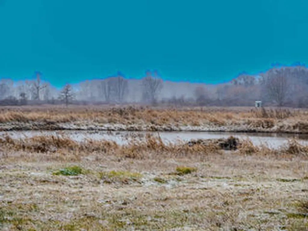 1991 N Concord Road Parma Township MI 49224