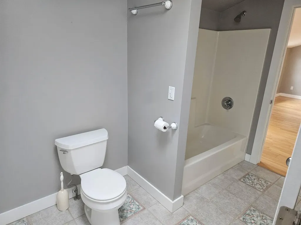 11287 Ullrey Drive Brady Township MI 49097