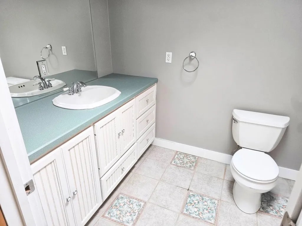 11287 Ullrey Drive Brady Township MI 49097