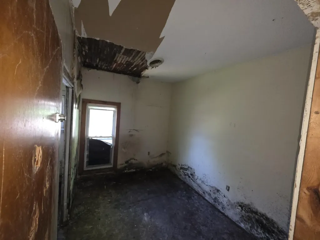 206 S Berrien Street Albion City MI 49224